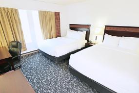 Double Room with Two Double Beds, LELUX Hotel