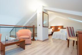 Superior Suite, Hotel Spa Termes Carlemany